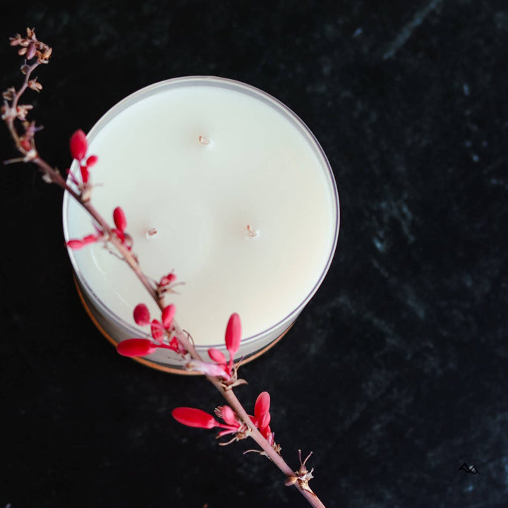 Mango & Coconut Milk - 3 Wick Jar Candle
