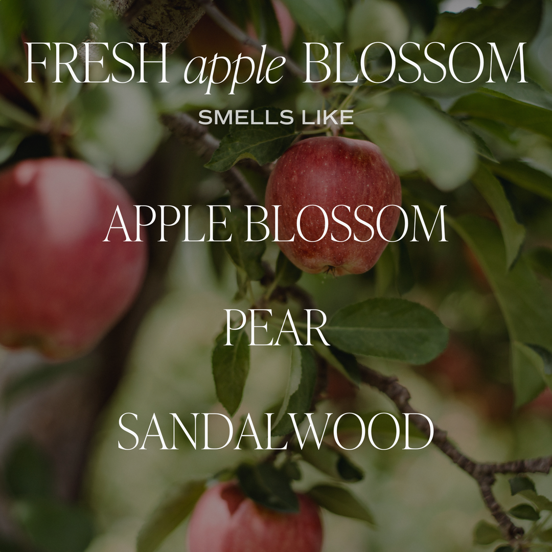 Fresh Apple Blossom 11 oz Soy Candle