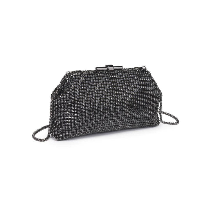 Delfina Crystal Evening Bag