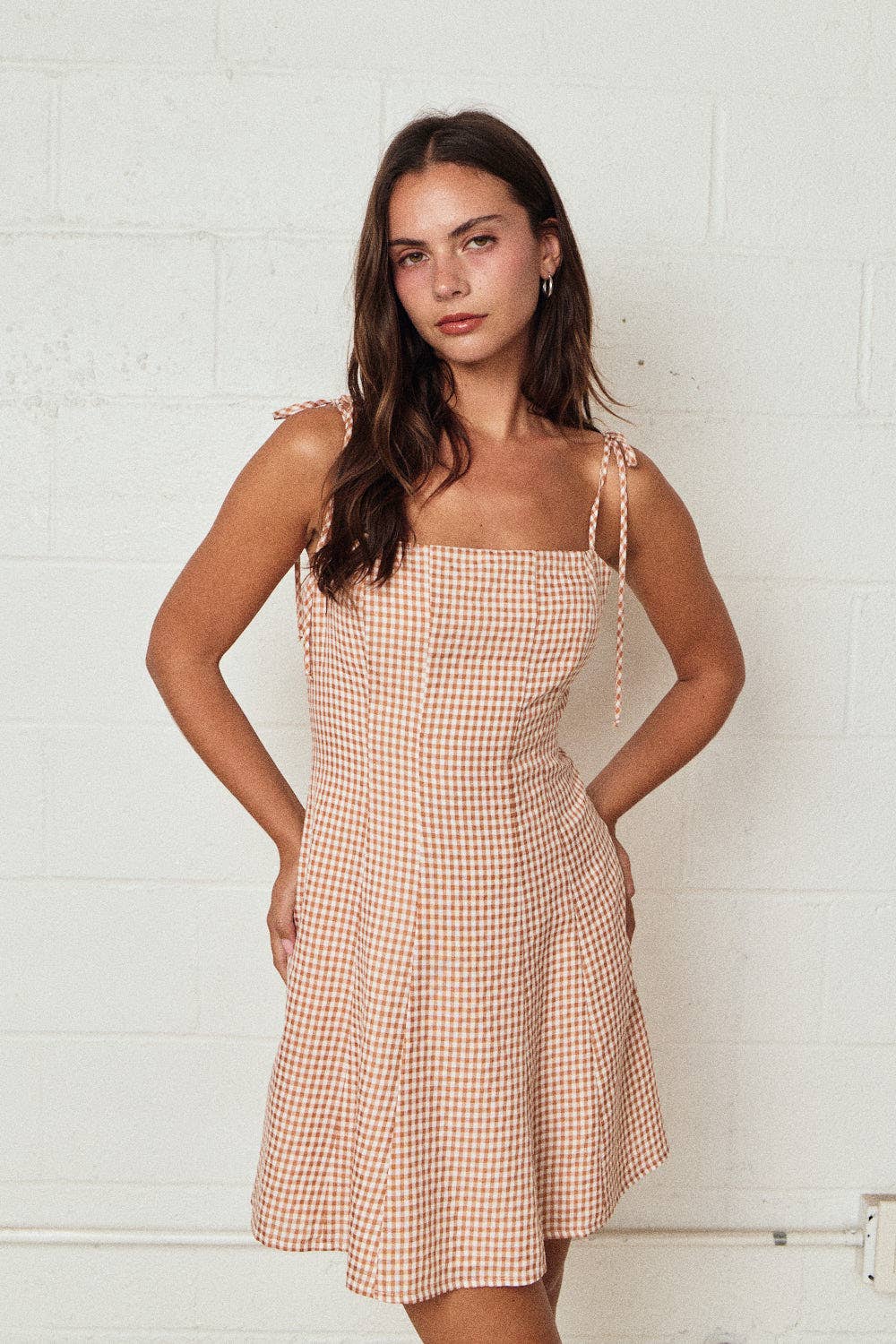 Brunch Babe Gingham Mini Dress