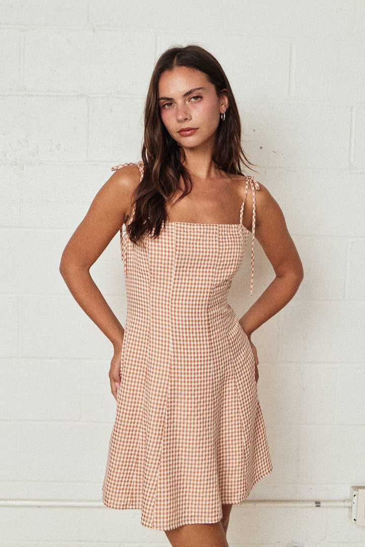 Brunch Babe Gingham Mini Dress