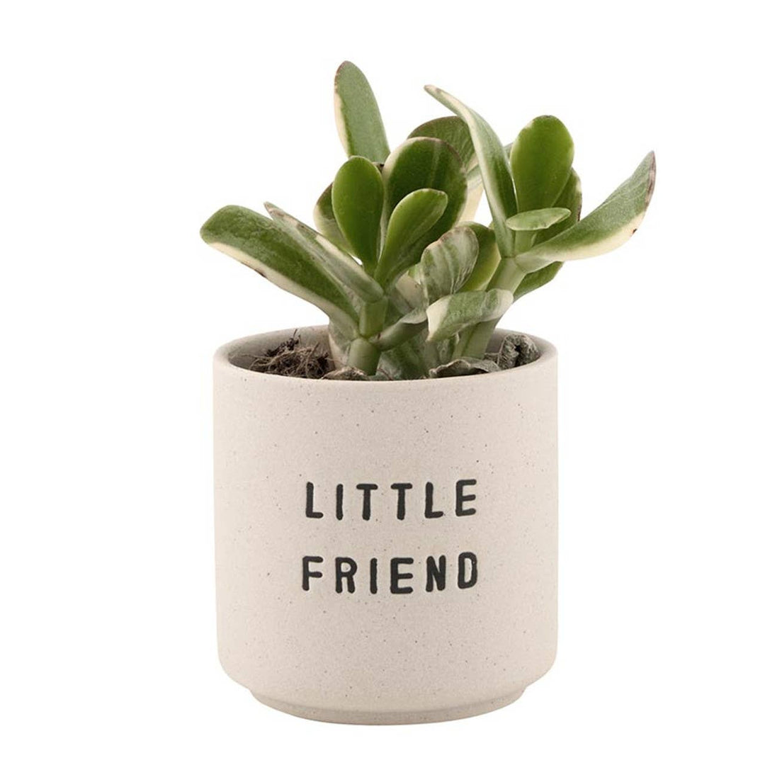 Ceramic Planting Pots - Set of 2