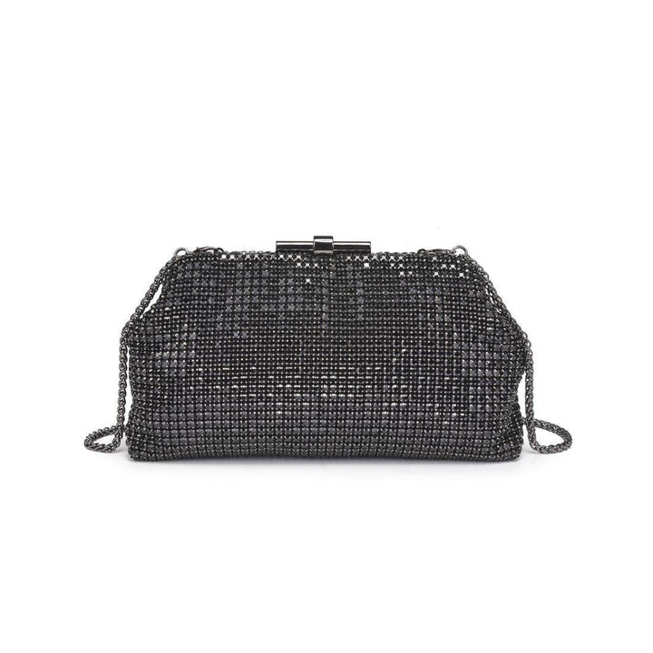 Delfina Crystal Evening Bag