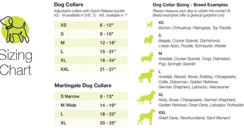 Strawberry Fields Dog Collar