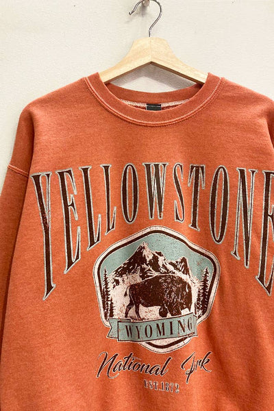 Yellowstone Sweatshirt (New Color)